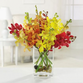 Vibrant Mokaras Orchids Flowers in a vase
