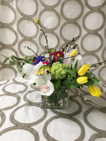 Vibrant Spring