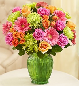 Vibrant Summer Blooms
