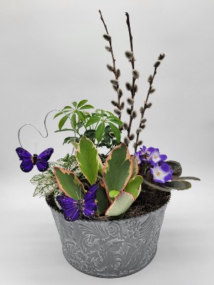 Vibrant Violet Planter 
