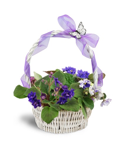 Vibrant Violets Garden Basket
