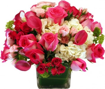 Vibrant Wishes