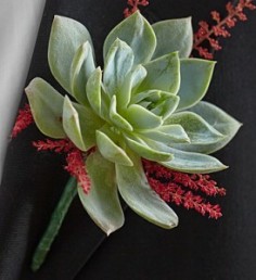 Category Image
