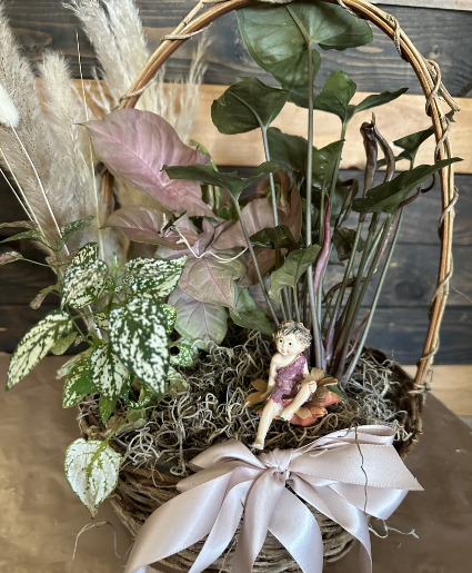 Vintage Fairy Garden live plant basket