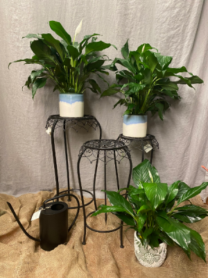 Vintage inspired  Plant Stands