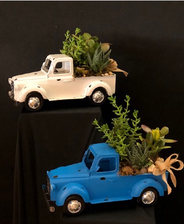 Vintage Succulent Truck  in Chesterfield, MO | ZENGEL FLOWERS AND GIFTS