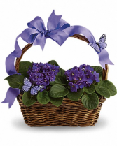 Violet And Butterflies Basket Flower