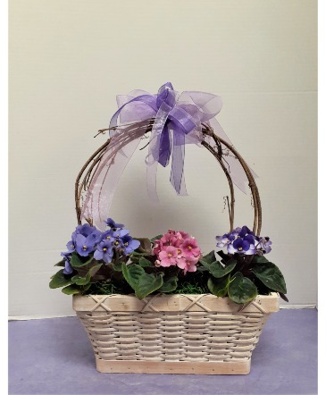 Violet Basket  in Tottenham, ON | TOTTENHAM FLOWERS & GIFTS