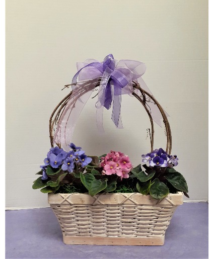 Violet Basket 