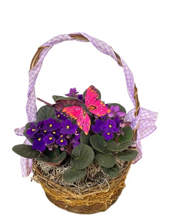 VIOLET BASKET Any Occassion in Lewiston, ME | BLAIS FLOWERS & GARDEN CENTER