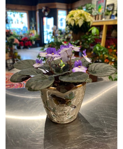 Violet Bird Pot Local Delivery Only