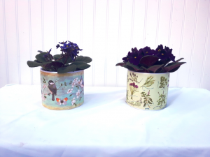 Violet  Planter plant 