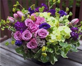 Violet VIbes Fresh Flowers