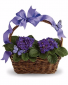 Purchase this funeral home arrangement