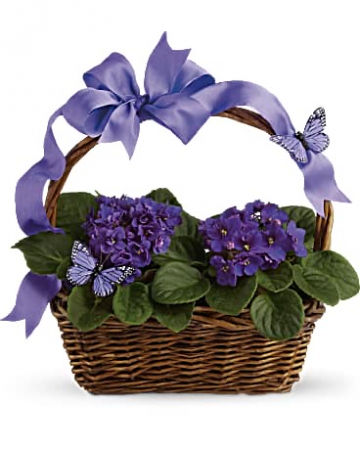 Violets and Butterflies Basket Arrangement