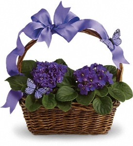 Violets and Butterflies Basket Planter Basket