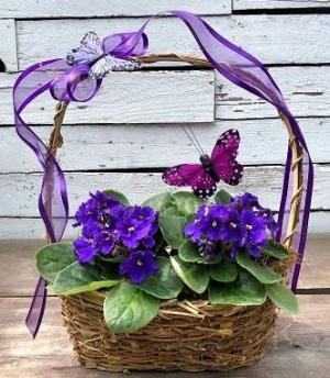 Butterflies & Violets Basket Plant