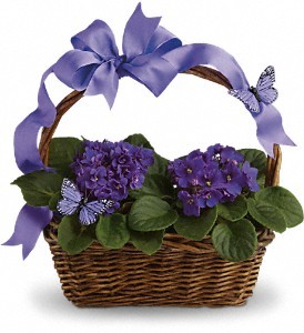 Violets and Butterflies Plant Basket