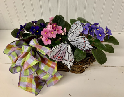 Violets and Butterfly