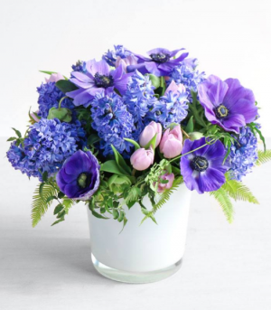 Violets are Blue Spring Collection in Oakville, ON | ANN'S FLOWER BOUTIQUE-Wedding & Event Florist Violets are Blue Spring Collection in Oakville, ON | ANN'S FLOWER BOUTIQUE-Wedding & Event Florist