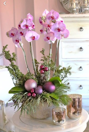 VIOR-Chic Divine Orchid Bloom 