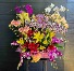 Only the Best for You Orchid Paradise 