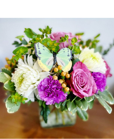 Butterfly Kisses Floral Arrangement in Saskatoon, SK | QUINN & KIM'S FLOWERS
