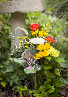 Vivid Gardens  Garden Cottage Collection 
