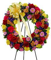 Category Image