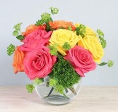 Vivid Sorbet Rose Arrangement