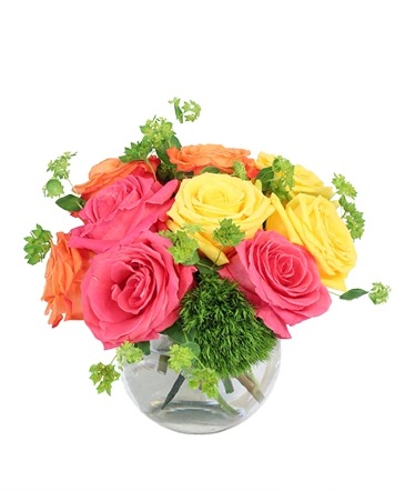 Vivid Sorbet Rose Arrangement in Albany, NY | Ambiance Florals & Events