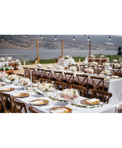 Vows & Vines Vineyard