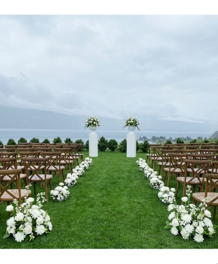 Vows & Vines Vineyard 