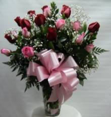 VPP 2 Dozen Delight