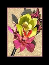 Cymbidium Orchid Wedding Corsage