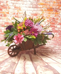 WAGON WHEEL in Davis, CA | STRELITZIA FLOWER CO. WAGON WHEEL in Davis, CA | STRELITZIA FLOWER CO.