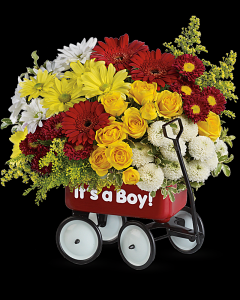 Wagon Wow Baby Boy / Girl in White Oak, PA | Breitinger's Flowers & Gifts Wagon Wow Baby Boy / Girl in White Oak, PA | Breitinger's Flowers & Gifts