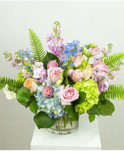 waiting for spring  home