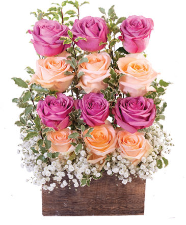 Wall of Roses Floral Design in Brookshire, TX | Enchanted Rose Floral Designs