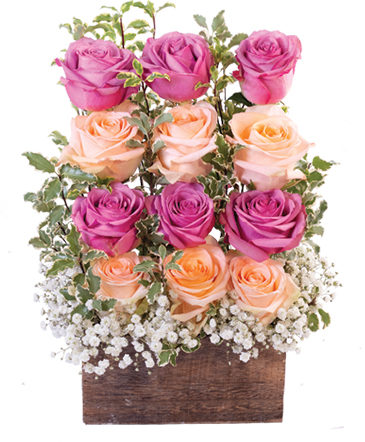 Wall of Roses Floral Design in Angier, NC | JABEZ FLORISTRY