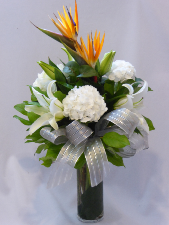 WARM AFFECTIONS - Flowers For All Occasions Birds of Paradise create a bright infusion of color. Let your day be Just as Bright. Flowers Prince George