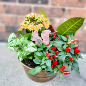 Warm Autumn Flowering Dishgarden