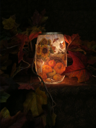 Warm Autumn Light Gift