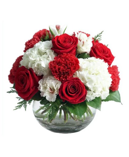 Warm & Cozy Holiday TMF1973