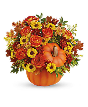 Warm Fall Wishes 