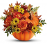 Warm Fall Wishes Pumpkin Real locally Grown 