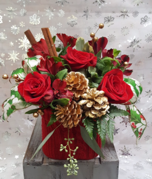 Warm & Snug in Davis, CA | STRELITZIA FLOWER CO. Warm & Snug in Davis, CA | STRELITZIA FLOWER CO.