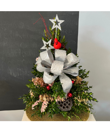 Warm Wishes 2026 New Year Boxwood Tree in Mattapoisett, MA | Blossoms Flower Shop