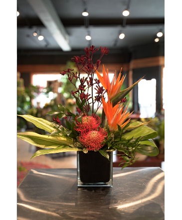 Warm Wishes  Tropical Design in South Milwaukee, WI | PARKWAY FLORAL INC.