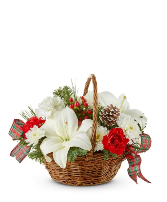 Warm Wishes V5732r Basket